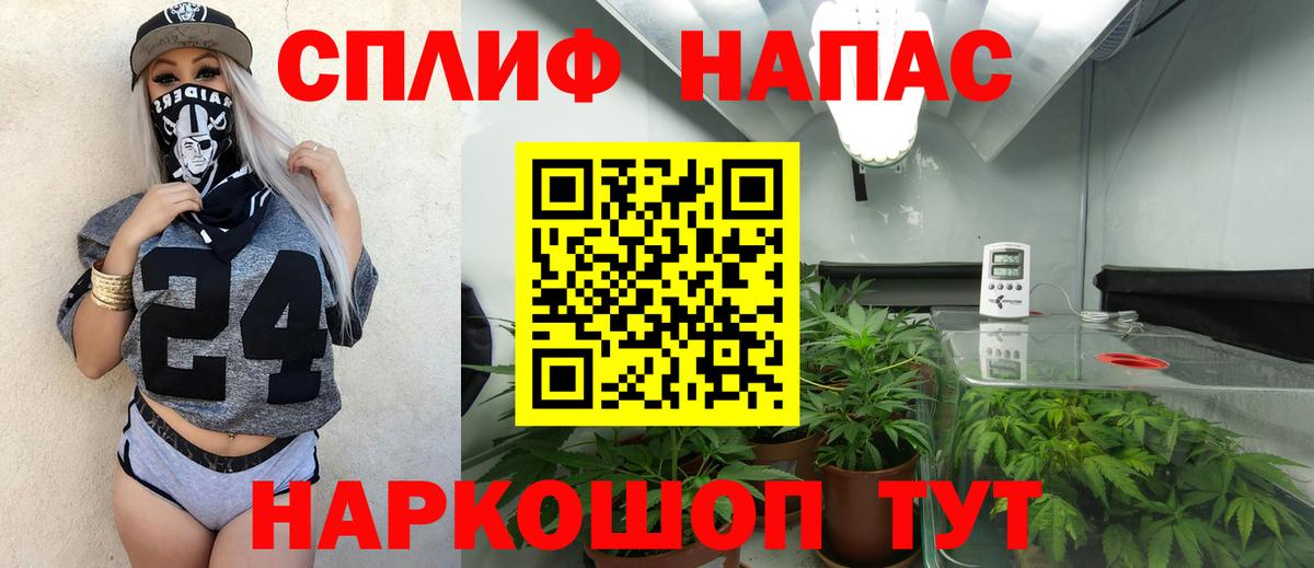 Бошки марихуана марихуана Павловский Посад